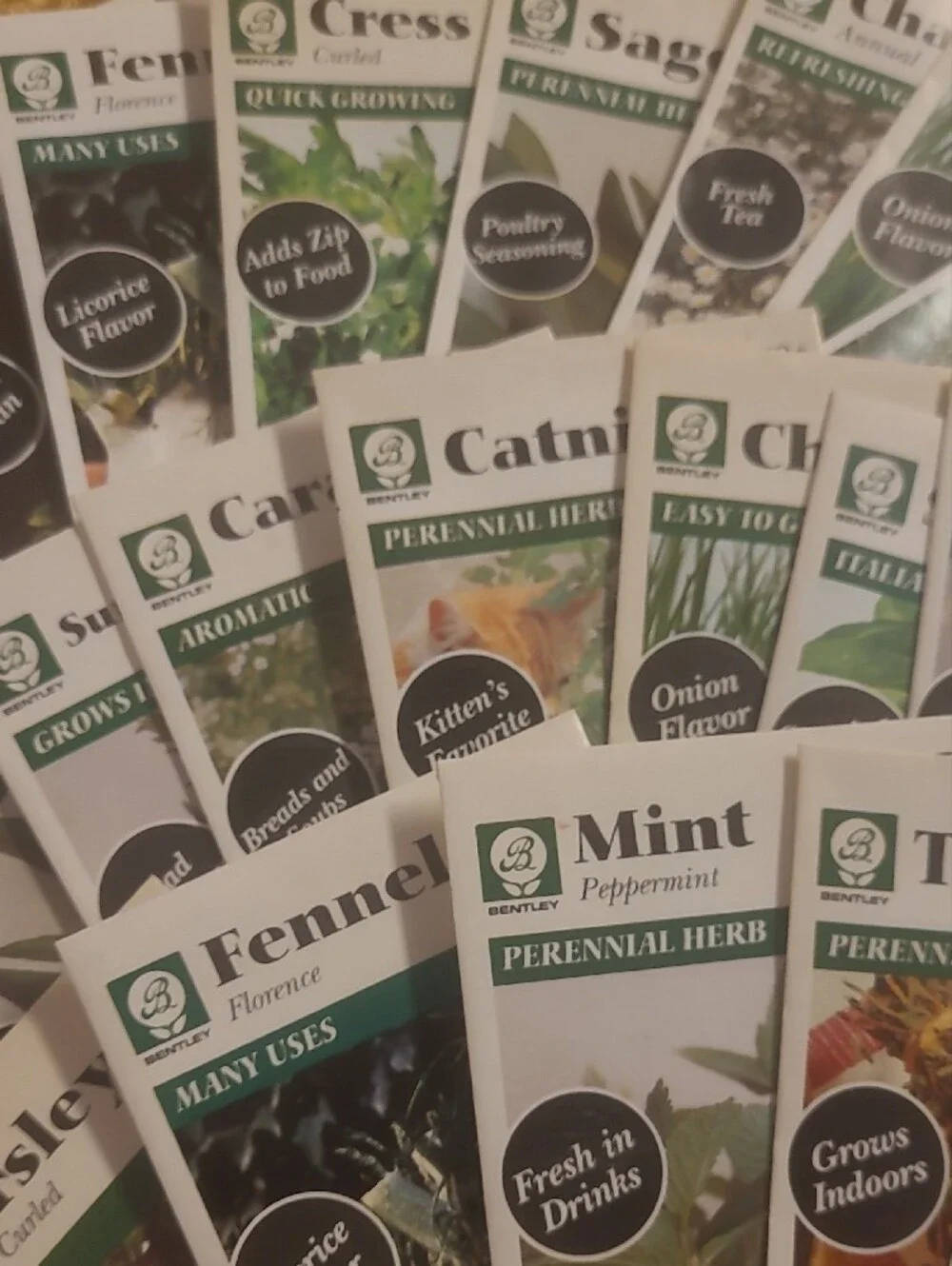 Zinnia & Herb Seed Packet Lot - 1996 Growing Year